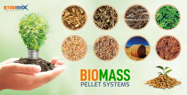 Biomass Pellet System